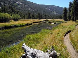 Lyell Canyon