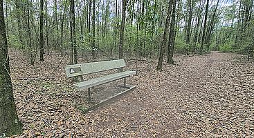 Blue Trail