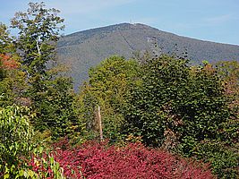 Mount Greylock