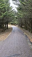 Wanderweg